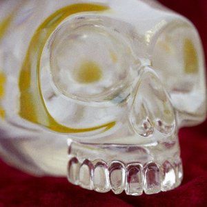 Jason Freeny Skull Bomb Clear Daisy Edition, VERY CLEAR ACRYLIC Limited Edition